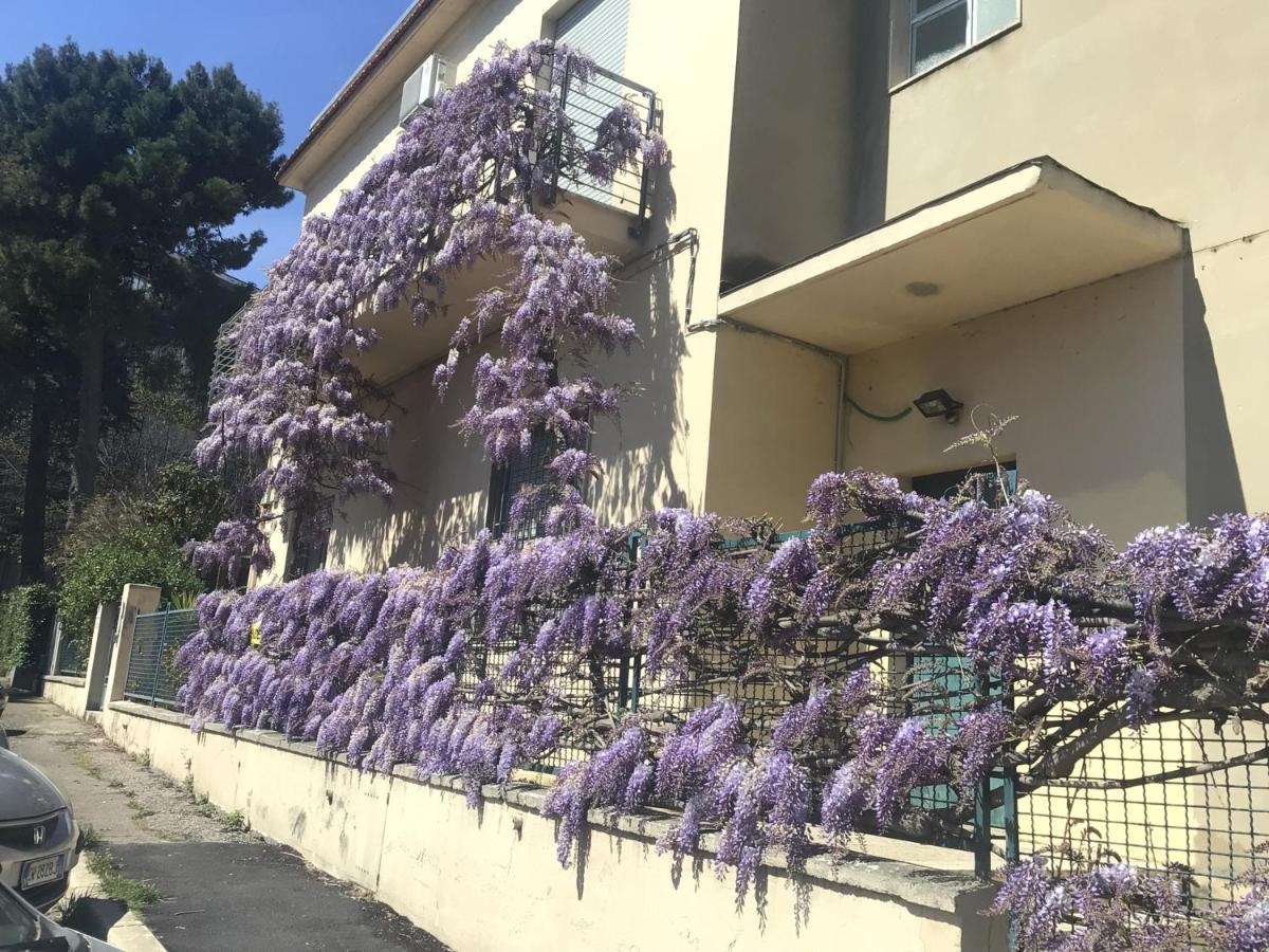 B&B Il Glicine Pescara Centro 外观 照片